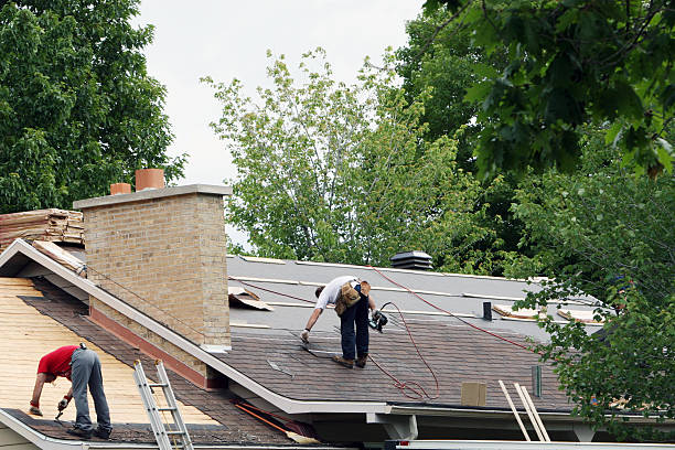 Roof Gutter Cleaning in Elm City, NC