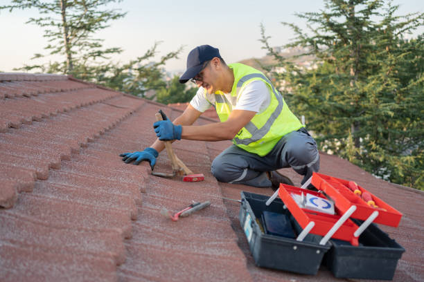 Best Residential Roof Replacement  in Elm City, NC