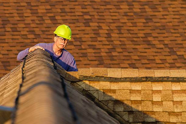 Best Roofing Contractor Near Me  in Elm City, NC