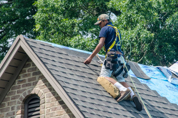 Quick and Trustworthy Emergency Roof Repair Services in Elm City, NC